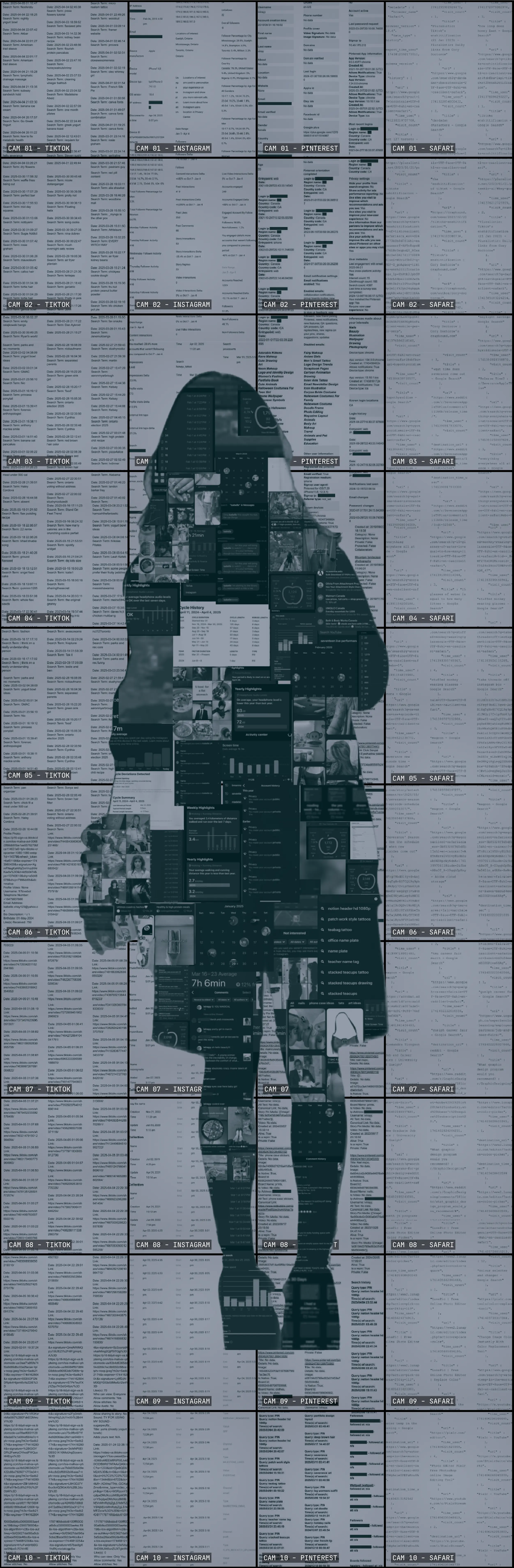 silhouette image with link